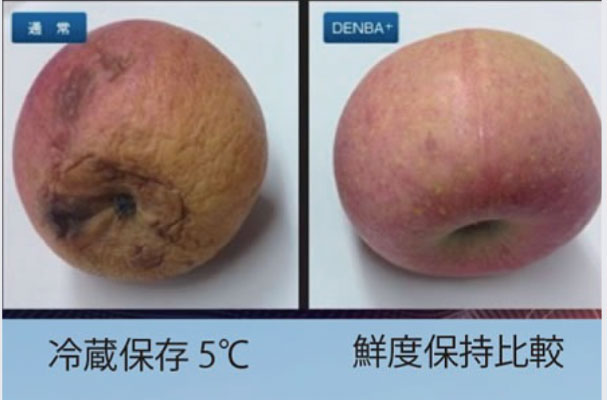 鮮度保持比較（りんご）