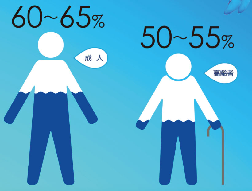 体内水分率イメージ