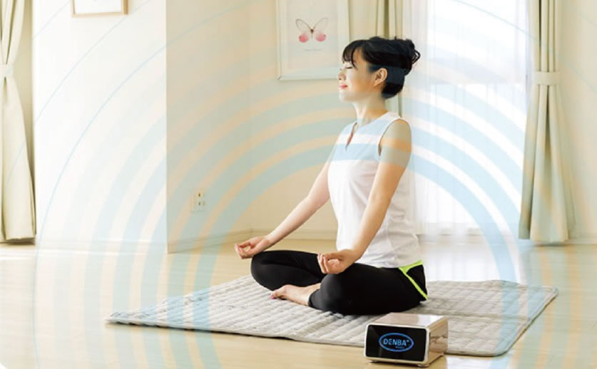 デンバ・イメージ