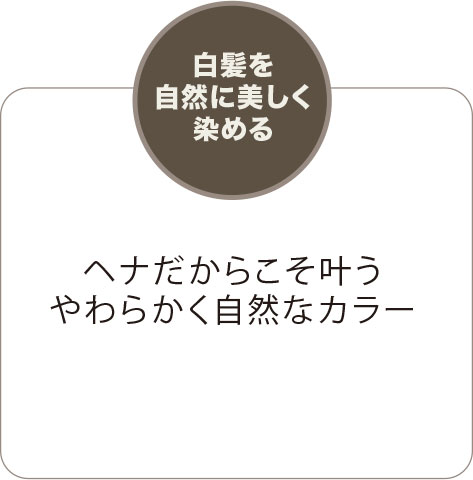 白髪を自然に美しく染める
