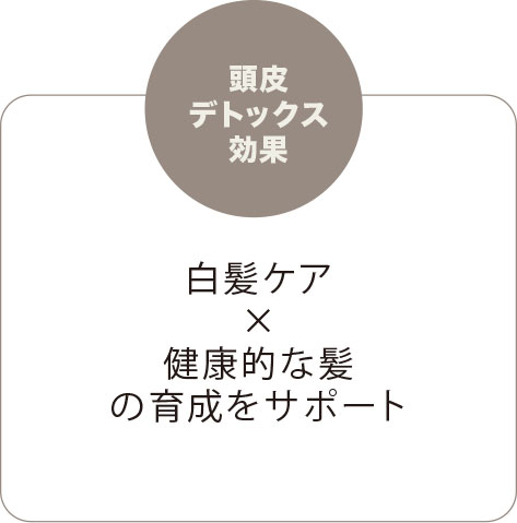 頭皮デトックス効果