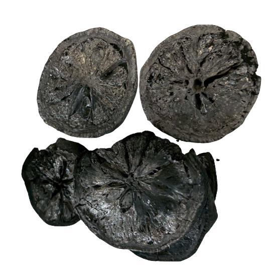 特殊炭化したレモン